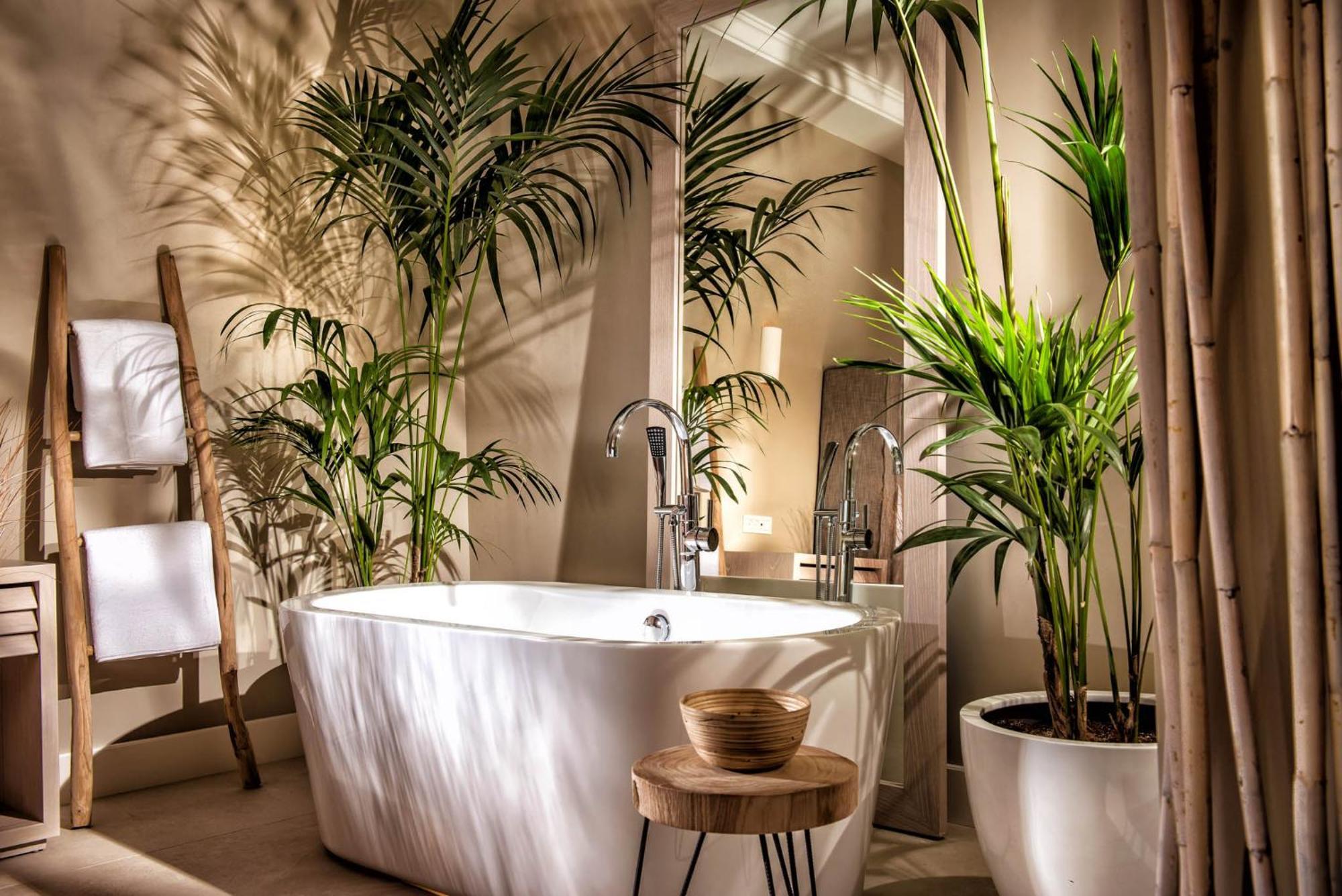 Drossia Palms And Nisos